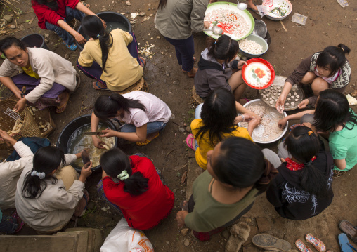 Women preparing meal for festivities, Louang namtha, Laos