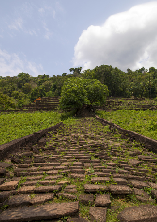 Wat phu khmer temple alley, Champasak, Laos