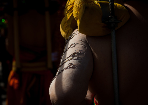 Hindu Devotee In Annual Thaipusam Religious Festival In Batu Caves With His Arm Pierced With Hooks, Southeast Asia, Kuala Lumpur, Malaysia
