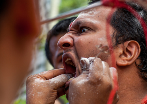 A Devotee Cheek Is Pierced With A Skewer By A Priest At Thaipusam Hindu Festival At Batu Caves, Southeast Asia, Kuala Lumpur, Malaysia