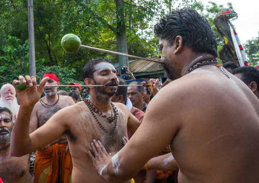 A Devotee Cheek Is Pierced With A Skewer By A Priest At Thaipusam Hindu Festival At Batu Caves, Southeast Asia, Kuala Lumpur, Malaysia