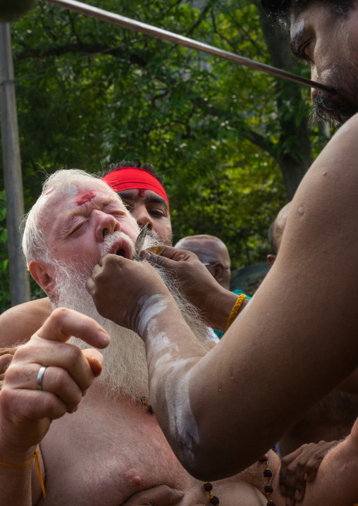 Carl, An Australian Hindu Devotee Cheek Is Pierced By A Priest At Thaipusam Hindu Festival At Batu Cave, Southeast Asia, Kuala Lumpur, Malaysia