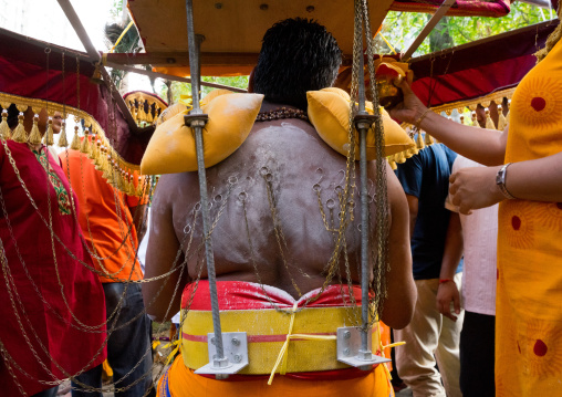 Devotee Kavadi Bearer At Thaipusam Hindu Religious Festival In Batu Caves, Southeast Asia, Kuala Lumpur, Malaysia