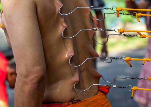 A Devotee Has His Back Pierced With Hooks During The Thaipusam Hindu Festival At Batu Caves, Southeast Asia, Kuala Lumpur, Malaysia