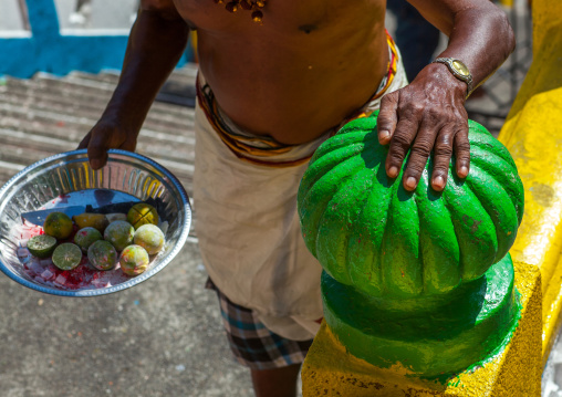 Hindu Devotee With Offerings In Annual Thaipusam Religious Festival In Batu Caves, Southeast Asia, Kuala Lumpur, Malaysia