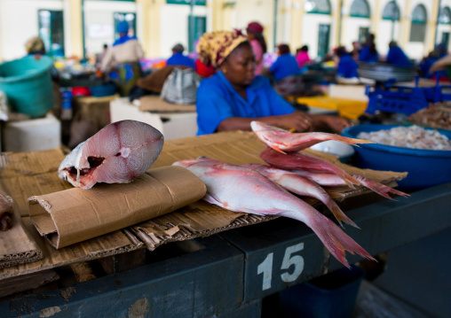Fish Sold In The Mercado Central, Maputo, Maputo City, Mozambique