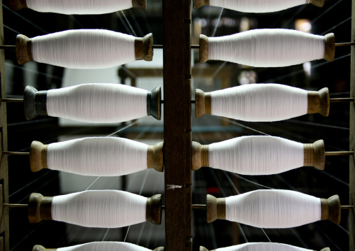 Lotus Fibre Thread In Mandalay, Myanmar