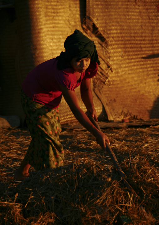 Women Putting Dried Fish In Ngapali, Myanmar