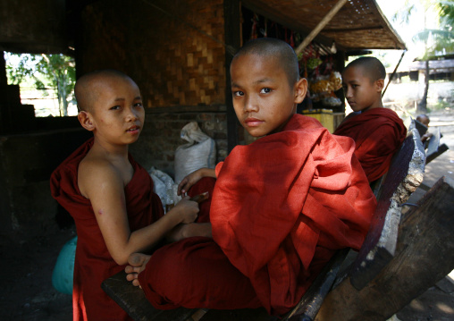 Novice Buddhist Monks, Rangoon, Myanmar