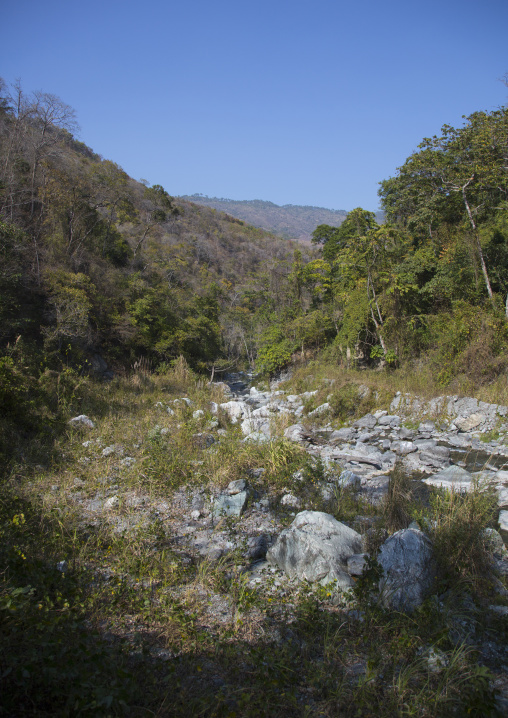 River In The Forest, Mindat, Myanmar