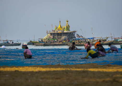 Women Putting Dried Fish On The Floor, Ngapali, Myanmar