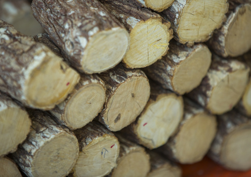 Thanaka Wood, Ngapali, Myanmar
