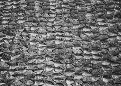 Dried Fishes On The Beach, Ngapali, Myanmar