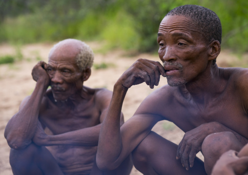 Bushmen Around A Fire In A Traditional Village, Tsumkwe, Namibia