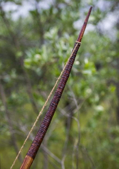 Bushman Bow With Blood On It, Tsumkwe, Namibia