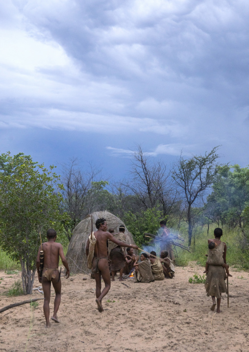 Huts In A Traditional Village, Tsumkwe, Namibia