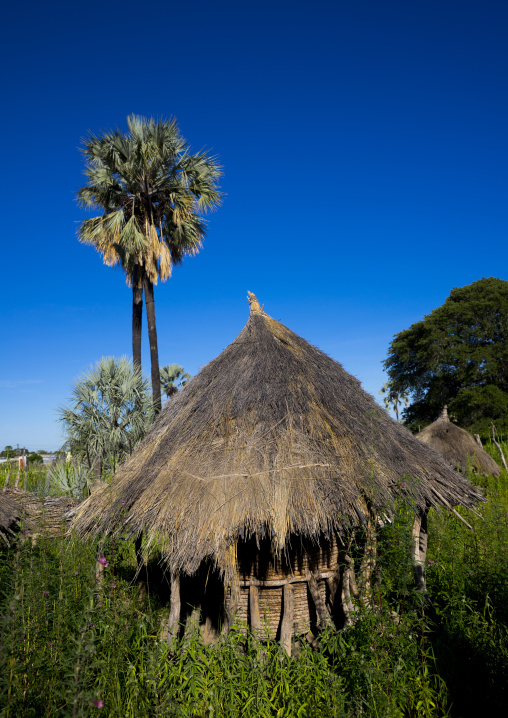 Granaries, Ondangwa, Namibia