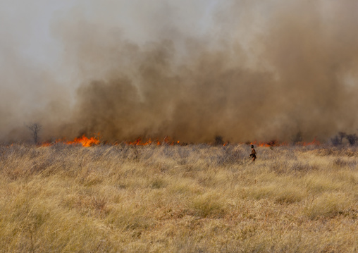 Fire In The Bush, Namibia