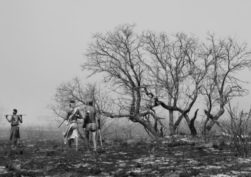 Bushmen In The Bush After A Fire, Tsumkwe, Namibia