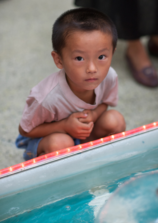 Young North Korean boy looking in a pond, Pyongan Province, Pyongyang, North Korea