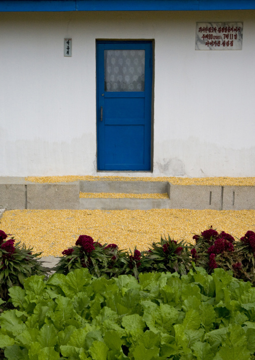 Model house in a farm which was visited by the Dear Leaders, North Hwanghae Province, Sariwon, North Korea