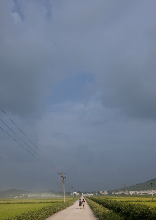 Rural road in the countryside, Kangwon Province, Chonsam Cooperative Farm, North Korea