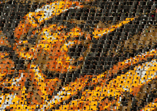 North Korean soldier made by children pixels holding up colored boards during Arirang mass games in may day stadium, Pyongan Province, Pyongyang, North Korea