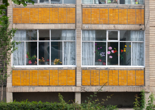 Plastic flowers decoration of an apartment, Pyongan Province, Pyongyang, North Korea
