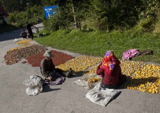 Two North Korean women drying mushrooms on the road, Ryanggang Province, Samjiyon, North Korea