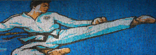 Taekwando fighter made by children pixels holding up colored boards during Arirang mass games in may day stadium, Pyongan Province, Pyongyang, North Korea