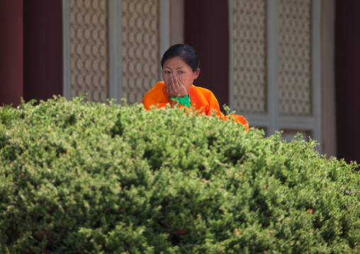 North Korean woman behind a bush, North Pyongan Province, Myohyang-san, North Korea