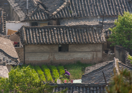 High angle view of the Korean houses in the old town, North Hwanghae Province, Kaesong, North Korea