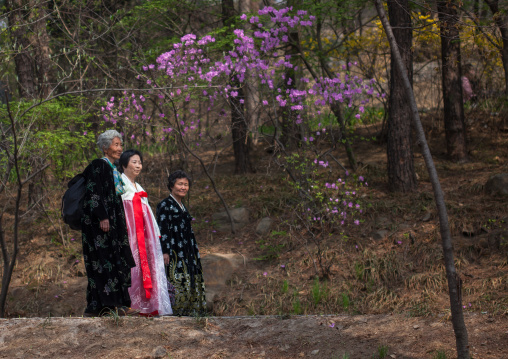 North Korean woman walking in a park, Pyongan Province, Pyongyang, North Korea