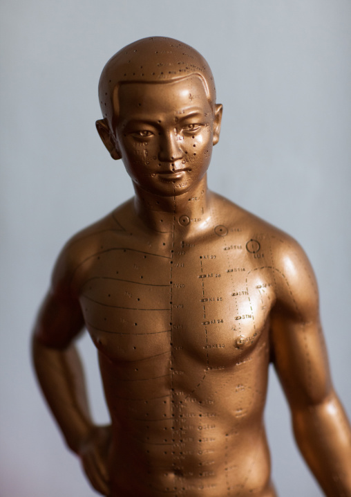 Accupuncture dummy in hospital, Pyongan Province, Pyongyang, North Korea
