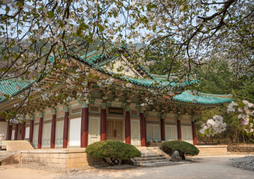 Pohyon-sa Korean buddhist temple, Hyangsan county, Mount Myohyang, North Korea