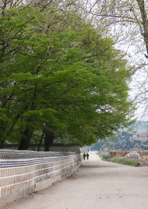 Bricks wall along the road in the countryside, North Hwanghae Province, Kaesong, North Korea