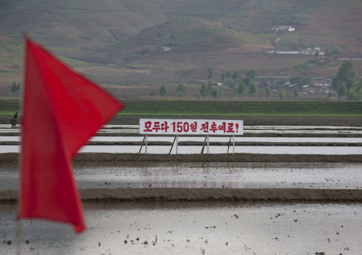 Propaganda billboard in a paddy field, South Pyongan Province, Nampo, North Korea