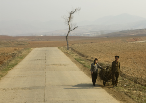 North Korean couple pushing a cart loaded with wood in the countryside, South Pyongan Province, Nampo, North Korea