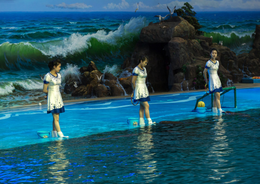 Dolphin show in Rungna dolphinarium, Pyongan Province, Pyongyang, North Korea