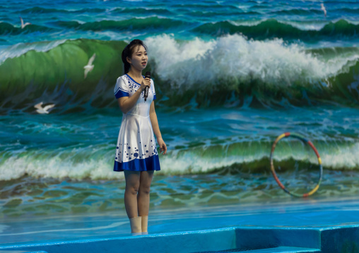 Dolphin show in Rungna dolphinarium, Pyongan Province, Pyongyang, North Korea