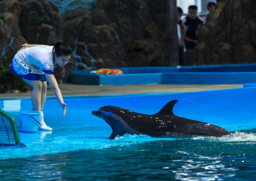 Dolphin show in Rungna dolphinarium, Pyongan Province, Pyongyang, North Korea