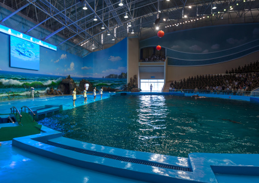 Dolphin show in Rungna dolphinarium, Pyongan Province, Pyongyang, North Korea