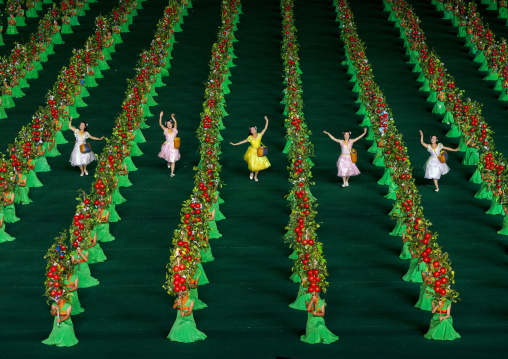 North Korean women dancing between apples during the Arirang mass games in may day stadium, Pyongan Province, Pyongyang, North Korea