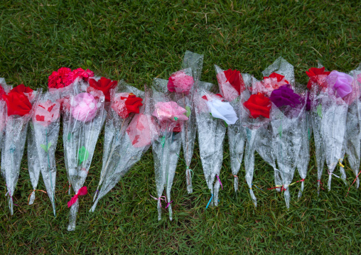 Bunch of flowers in Kim il Sung Mangyongdae native house, Pyongan Province, Pyongyang, North Korea