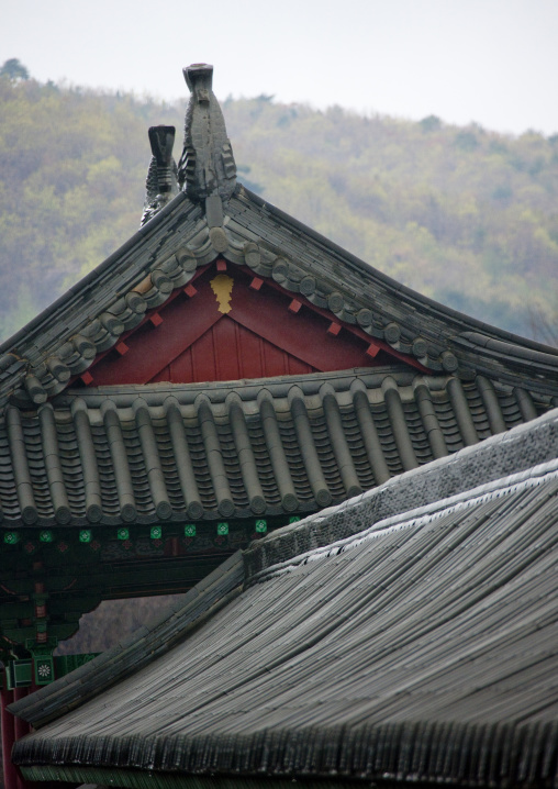 Ryongthong temple roof founded by Korean chonthae sect of buddhism, Ogwansan, Ryongthong Valley, North Korea