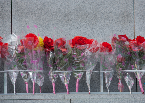 Bunches of flowers in Mansudae Grand monument, Pyongan Province, Pyongyang, North Korea