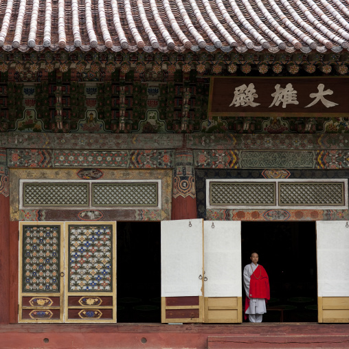 Bhuddist monk in Pohyon-sa Korean temple, Hyangsan county, Mount Myohyang, North Korea