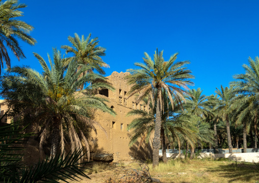 Old abandoned house in an oasis, Ad Dakhiliyah Region, Al Hamra, Oman
