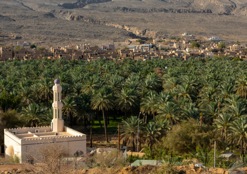 Mosque in front of an old village in an oasis, Ad Dakhiliyah Region, Al Hamra, Oman