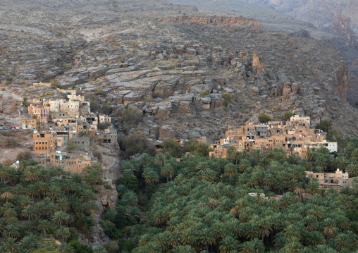 Old village in an oasis in front of the mountain, Ad Dakhiliyah Region, Misfat al Abriyyin, Oman